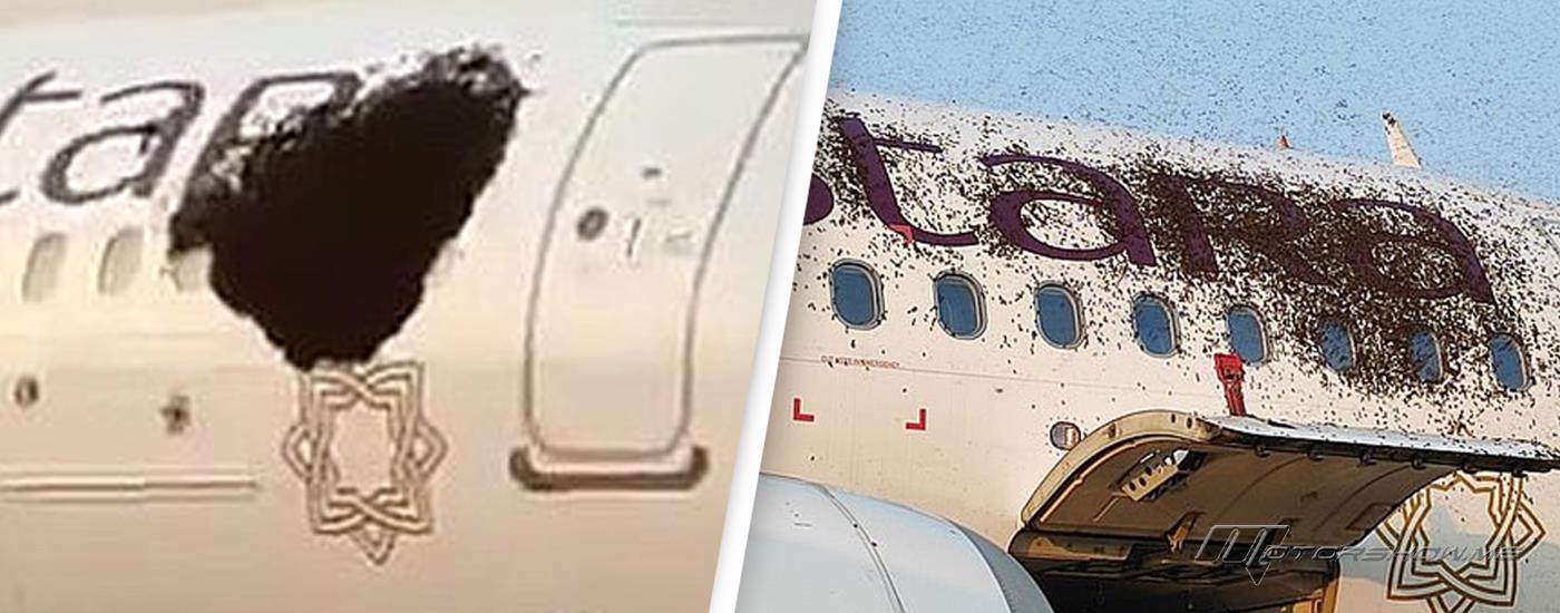 بالصور: هجوم سرب من النّحل على طائرة ركاب وشلّ حركة الطيران