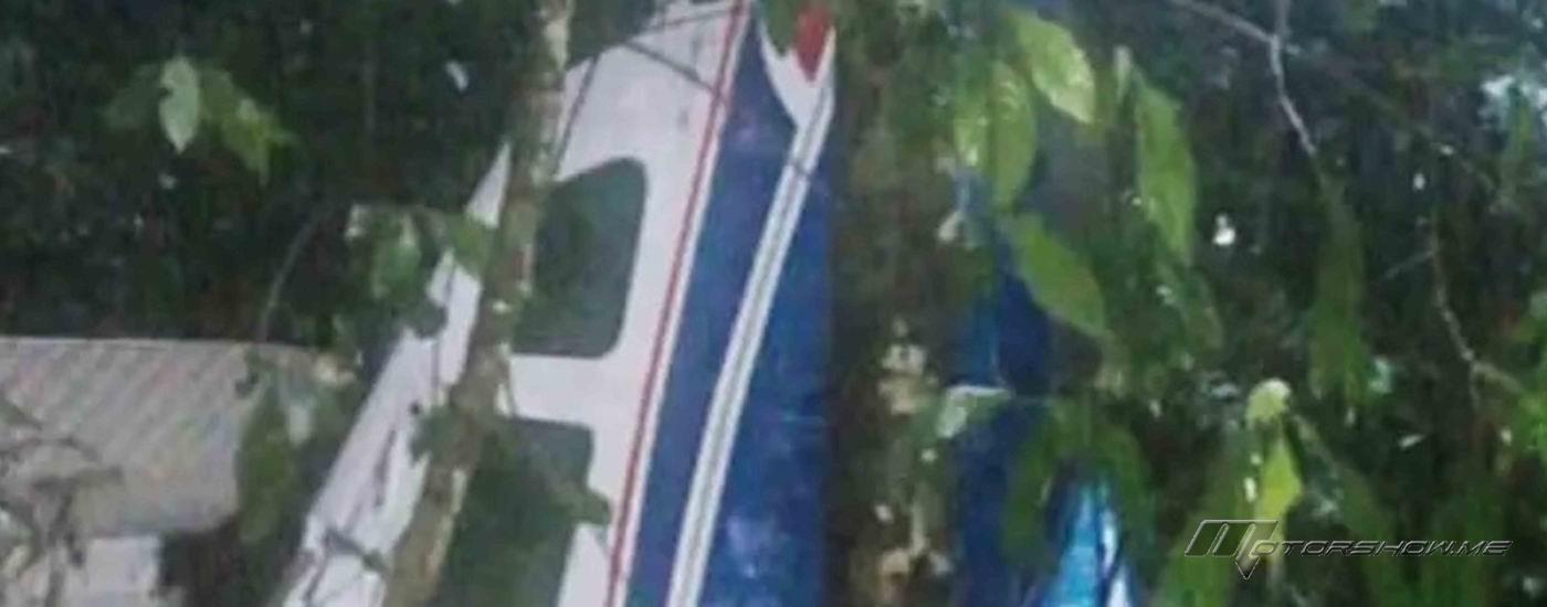 العثور بمعجزة على 4 أطفال تحطمت طائرتهم في الأدغال