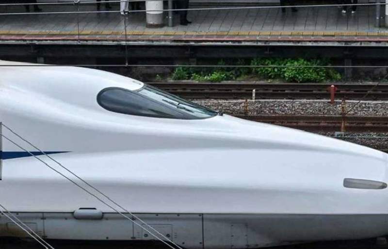 ضيف غير متوقع يعرقل أحد أسرع القطارات في العالم