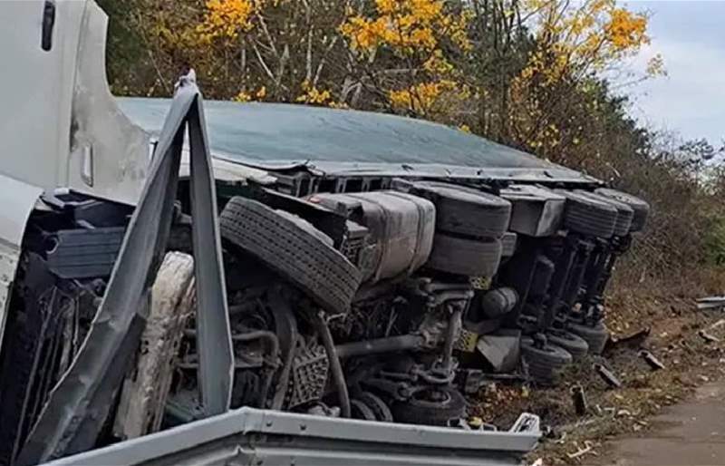 آلاف الدجاجات تتجول على الطرق في ألمانيا