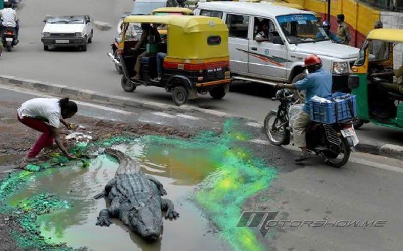 رجل يضع تمساحاً ضخماً في حفرة على الطريق العام.. والسبب؟ 