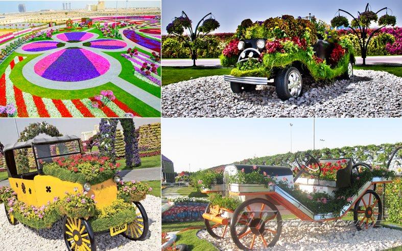 بالصور: ورود تزدهر في وسط الصحراء وتزيّن المركبات فتفوز مايكل جاردن دبي بجائزة حديقة العام 2015