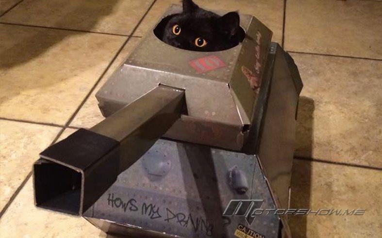 بالصور: دبابات، طائرات وسيارات مصنوعة من الكرتون للهرر