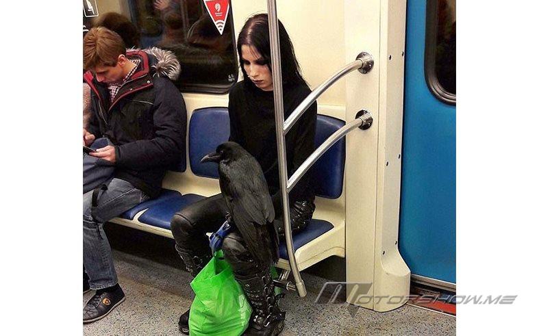 هذه الصورة انتشرت بسرعة فيروسية وأثارت جنون مستخدمي تويتر!  