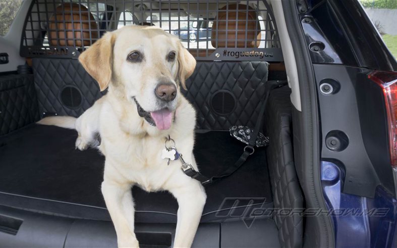 Nissan Rogue Dogue for Fido-Friendly Family Adventures