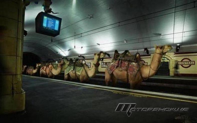 لم سخر السعوديون من مشروع قطار بين لندن والرياض؟