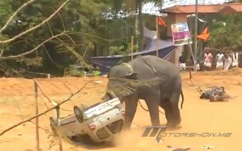 بالفيديو: فيل يستشيط غضباً خلال احتفال ويرعب المشاهدين... شاهدوا ماذا فعل! 