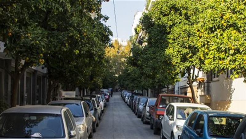 Parking Cars in Narrow Roads