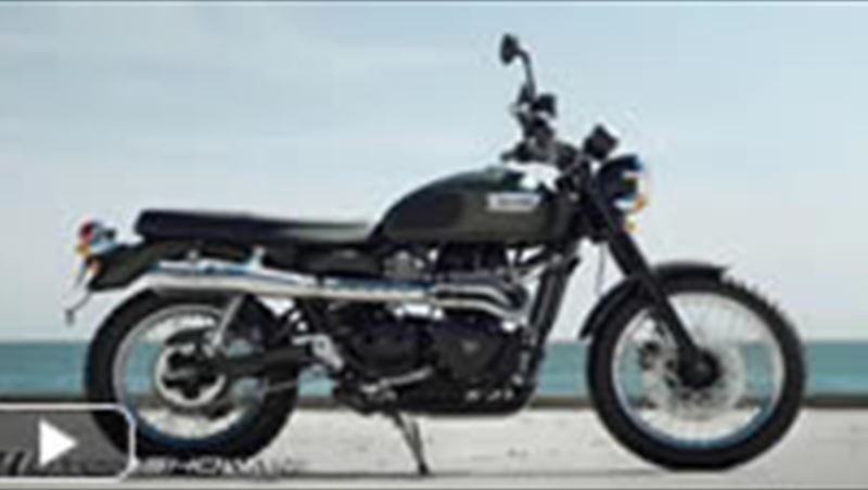 Triumph Scrambler 2013