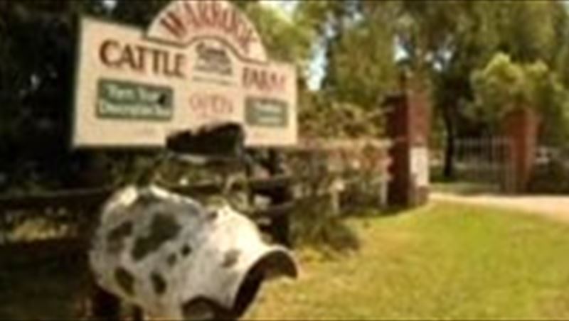 Sebastian Vettel visiting a farm in Australia 2011